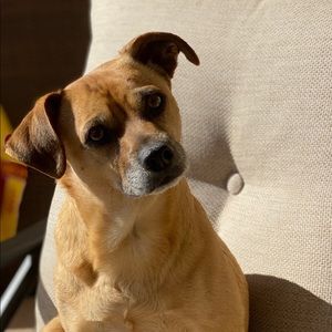 Meet your Posher, Jody